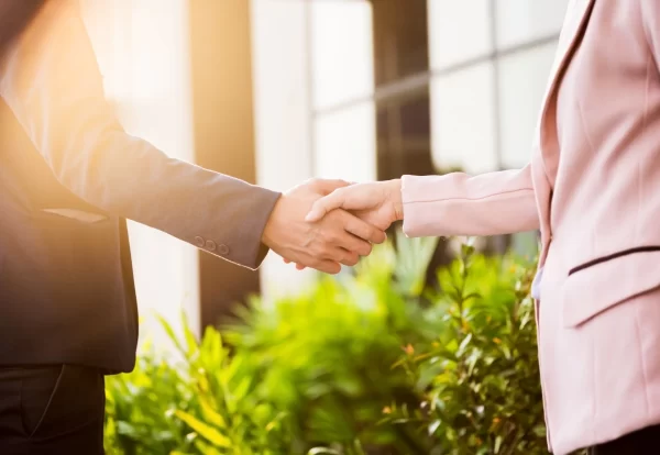 closeup-friendly-meeting-handshake-business-woman-businessman-with-sunlight_1423-173